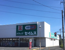 ドラッグセイムス鶴ケ島一本松店