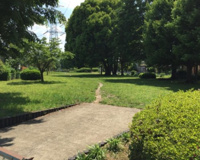 タイヤ公園