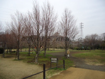 市民病院の横の公園