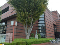 川越市立中央図書館