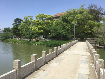 万代池公園の画像1