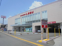 しまむら 南金田店