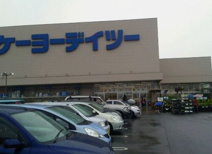 ケーヨーデイツー 狭山店