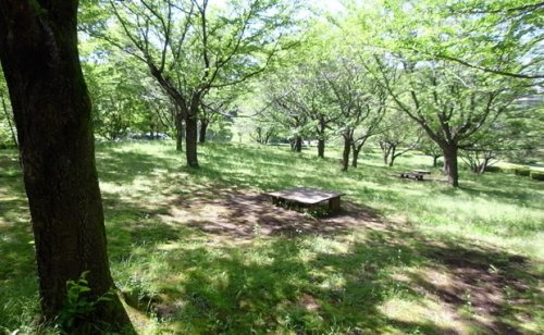 柳沢の池公園の画像