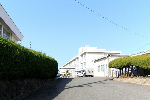 の画像