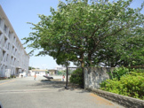 村岡小学校
