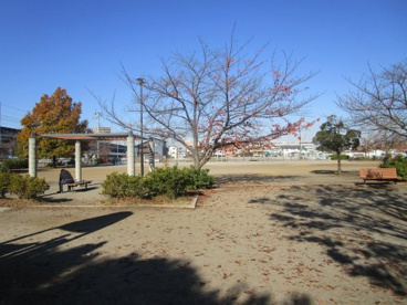 西堀高沼公園の画像1