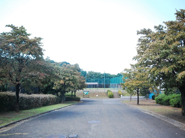 上菅田東部公園の画像1