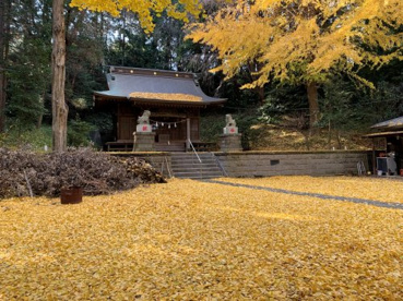 鳥山八幡宮の画像1