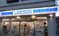 ローソン 麻生細山店