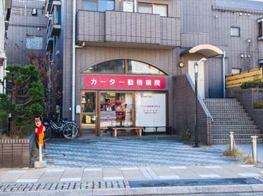 カーター動物病院の画像1