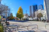 中野区立杉山公園