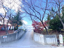 堺市立福泉中央小学校