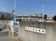 大府大和こども園大府大和キッズ保育園の画像