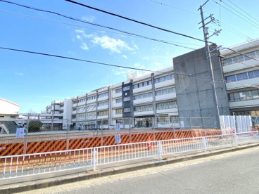高石市立加茂小学校の画像1