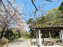 宝来公園