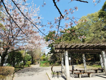 宝来公園の画像1