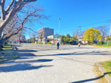 千葉市花園公園