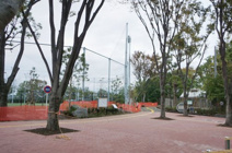 平和の森公園