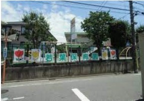 若葉保育園の画像1