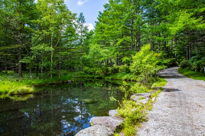御泉水自然園の画像1