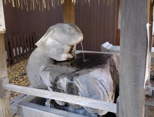 の画像