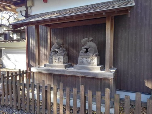 の画像