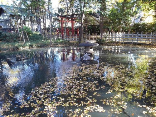 の画像