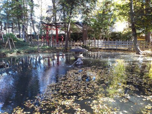 の画像