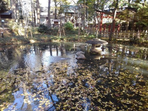 の画像
