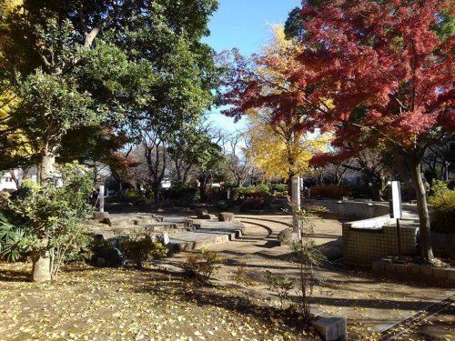 の画像