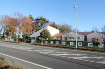 こばとの森幼稚園