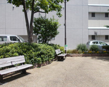 公園 大和橋広場