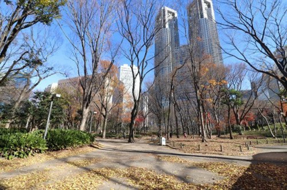 新宿区立新宿中央公園の画像1