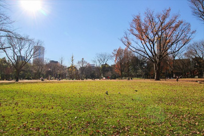 新宿区立新宿中央公園の画像2