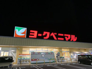 ヨークベニマル 鹿沼店の画像2