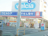 ドラッグストア ウエルシア小山天神店