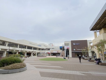 いずみがおか広場の画像1