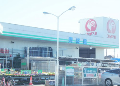 コメリハード＆グリーン 野木店の画像1