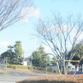 丸林中央公園の画像1