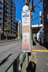 杉山公園バス停（渋谷駅、笹塚駅行き）の画像1