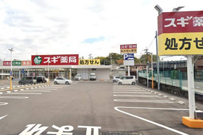 スギドラッグ 神領店の画像1