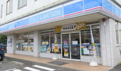 ローソン 海老名河原口店の画像1