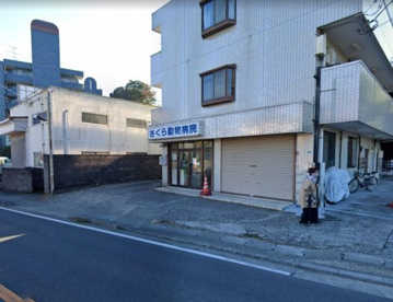 さくら動物病院の画像1