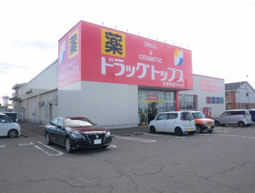 ドラッグストア ドラッグ・トップス巻店