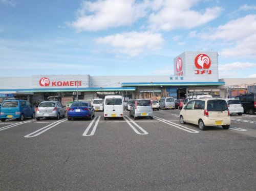ホームセンター コメリハード&グリーン巻店