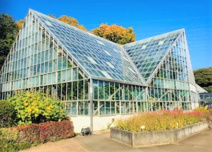 東京都薬用植物園