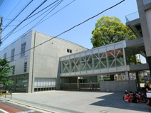 世田谷区立松沢小学校