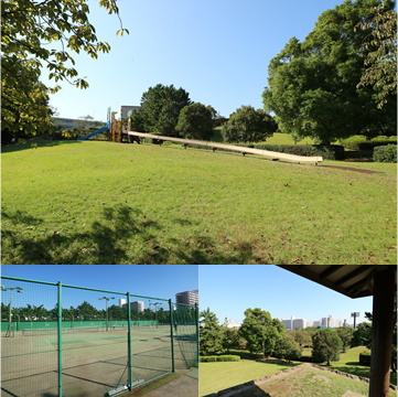 中央公園の画像
