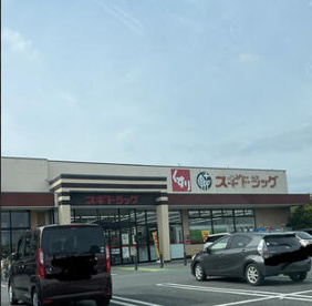 スギドラッグ とりせん北本店の画像1